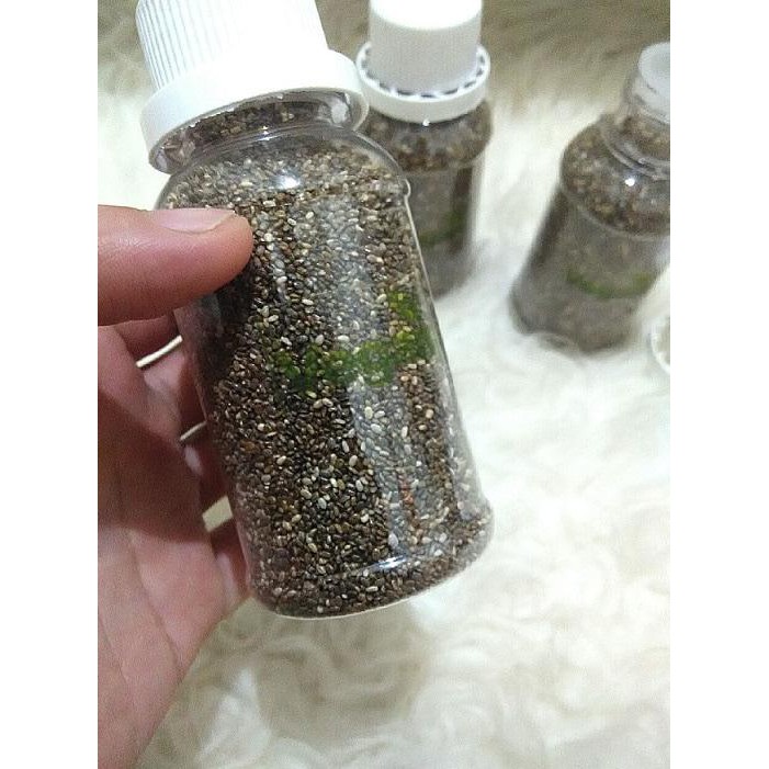 

Chia seed botol (85 gr)