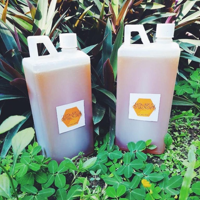 

Honeybunny 1L