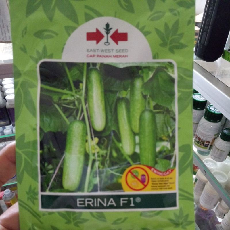 Benih timun ERINA F1 800btr