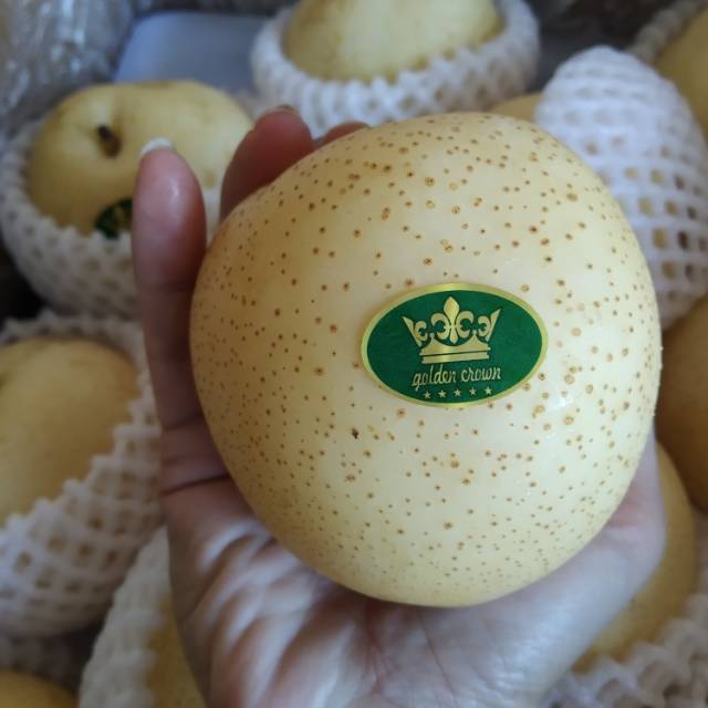 

Pear golden premium buah import