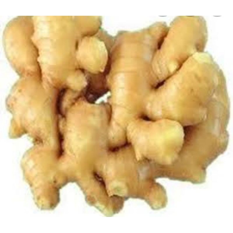 

jahemantap organik 1000gr