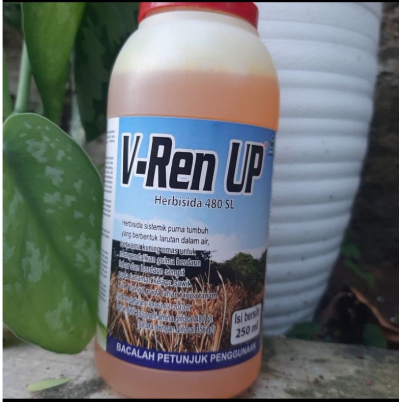 V Rent Up 250ml Herbisida 480 SL Pembasmi Rumput Liar