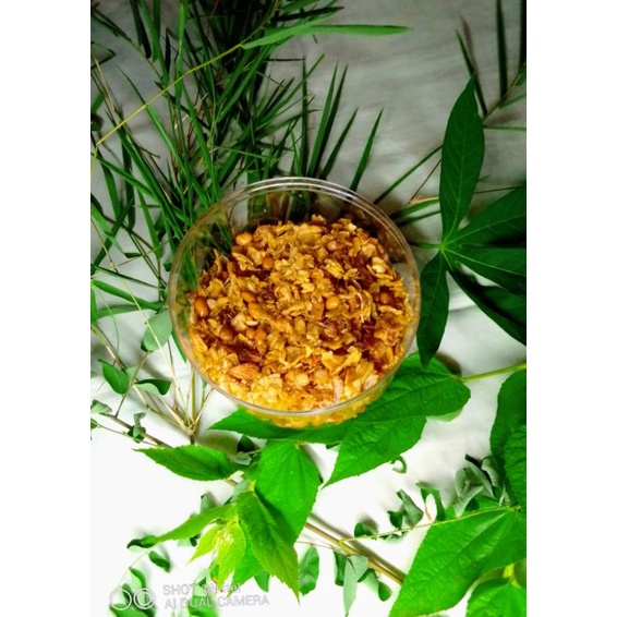 

Tempe orek kacang