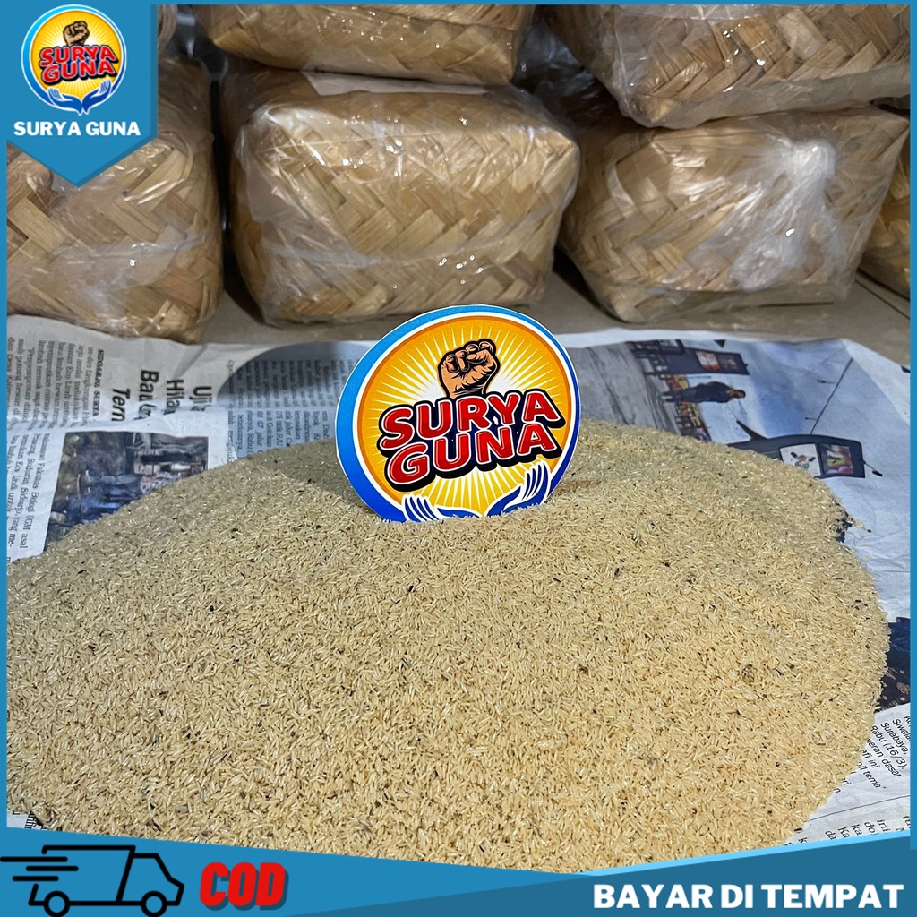 

Telur jangkrik alam siap kirim