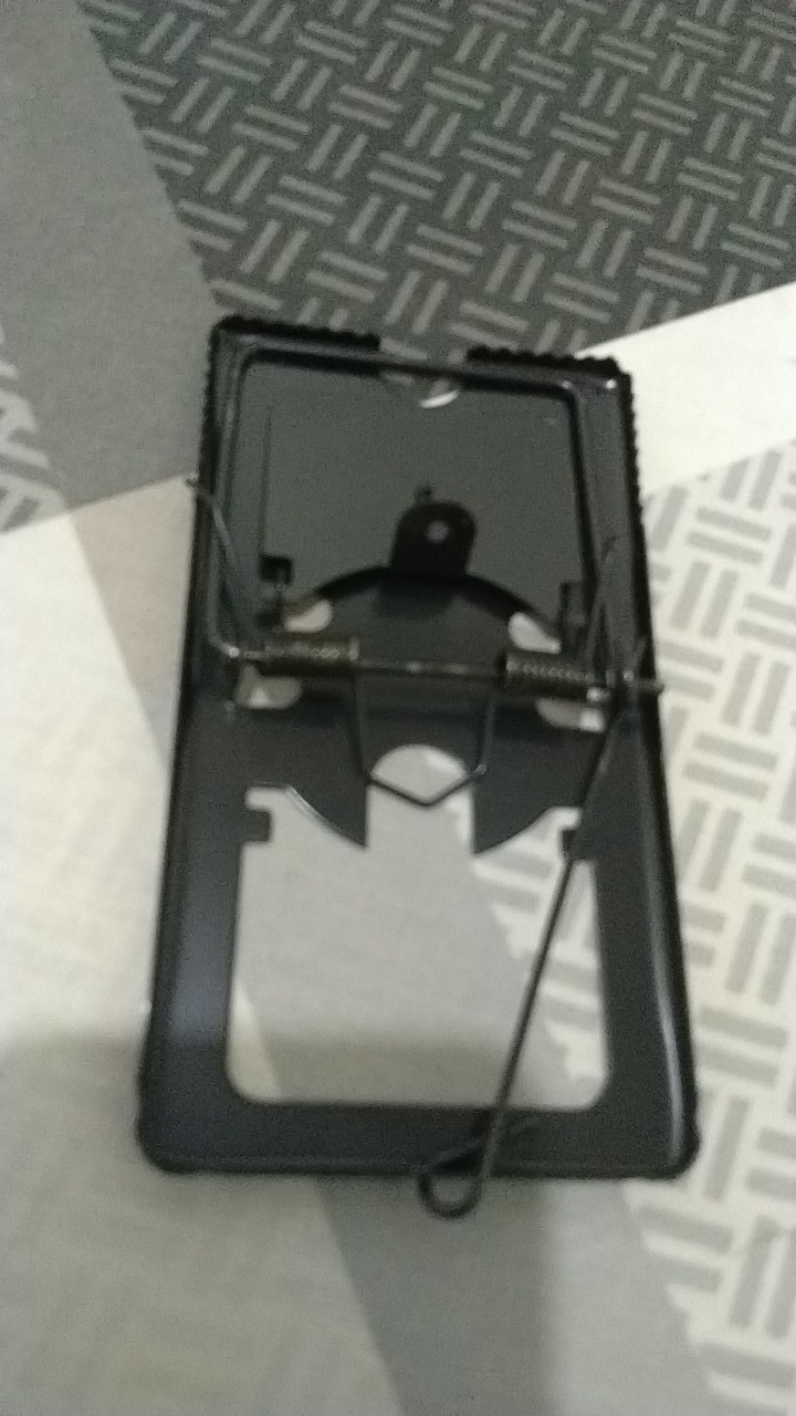 Lem Tikus Jebakan Trap Papan Buku Impor Perangkap Cap Gajah Glue Board Mouse Rat Jumbo Besar Import