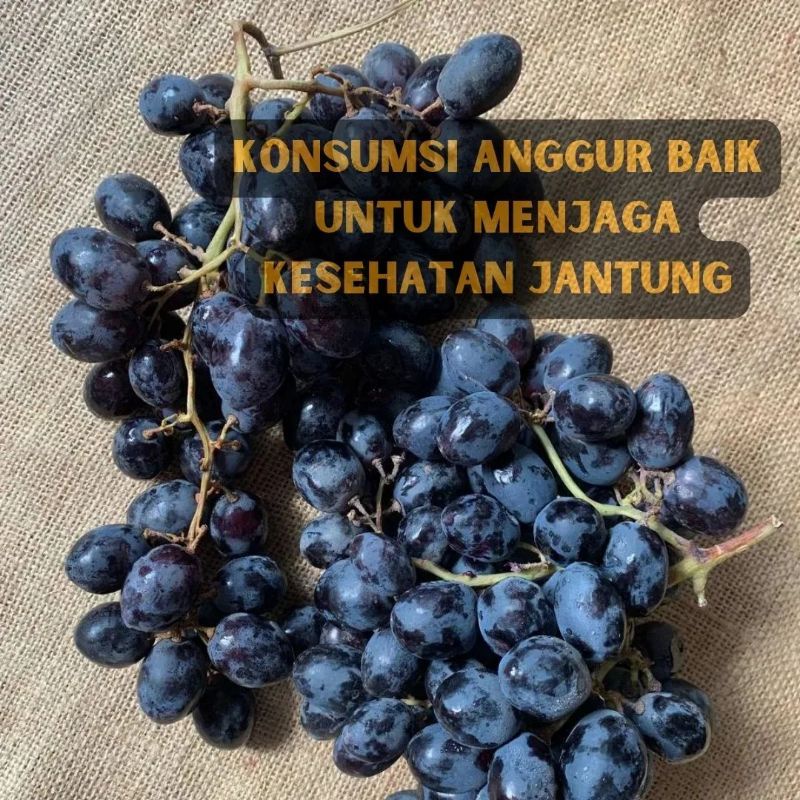 Bibit anggur hitam super