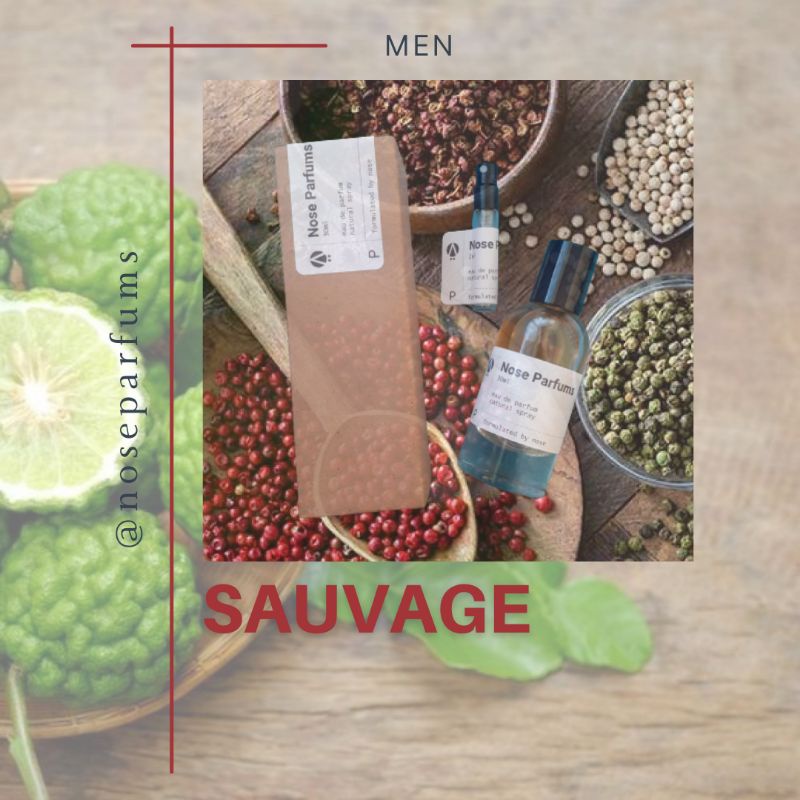 Parfum Men STU - Sauvage - Parfum Pria