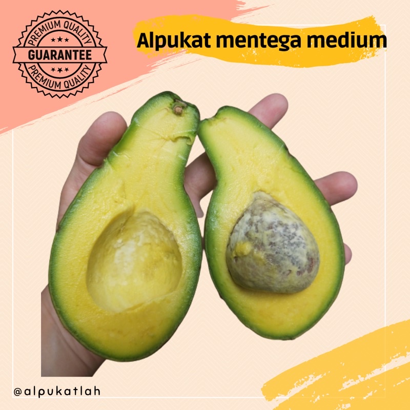 

Alpukat Mentega Mix Jumbo Medium paket 2kg
