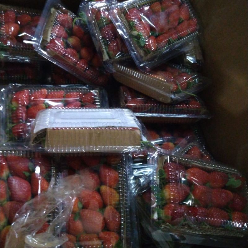 Jual Strawbery Bandung Kemasan Pack Shopee Indonesia 9704