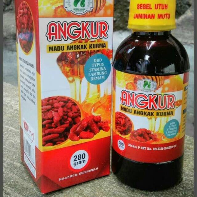 

Angkur angkak kurma