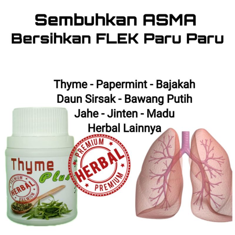 Ampuh Obat Asma Bersihkan Flek Paru Paru dan TBC 100% Original Herbal Alami Thyme Plus
