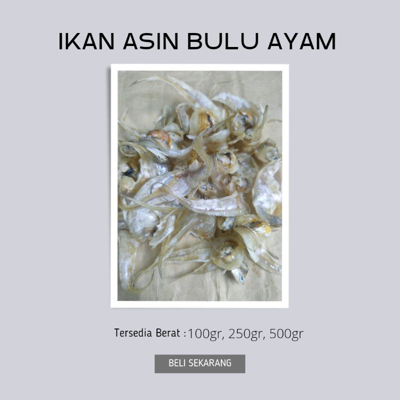 

IKAN BULU AYAM (TAWAR KERING) KUALITAS TERBAIK 100gr/250gr/500gr