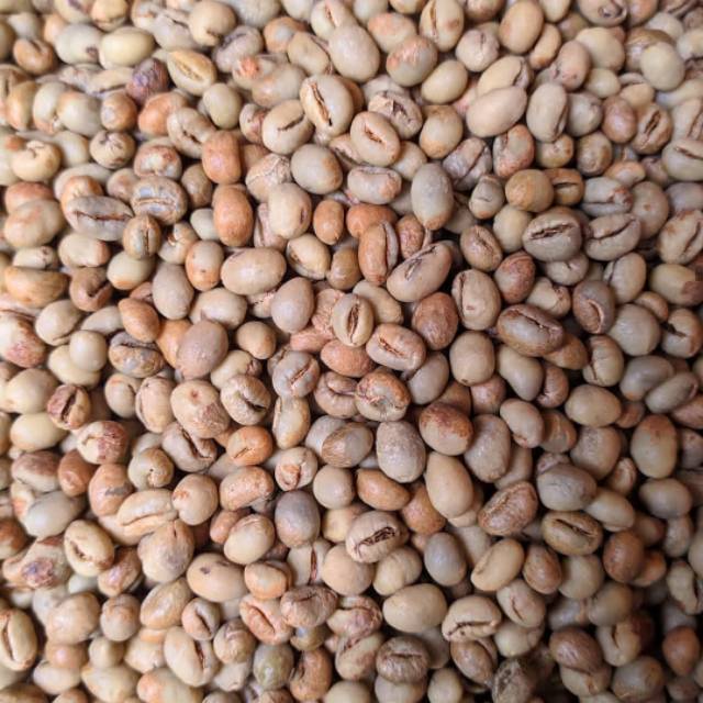 

Kopi Banyuwangi Lanang robusta/ Peaberry Green Beans