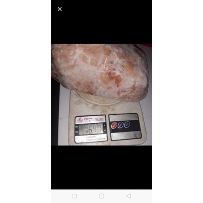 

Ayam Broiler Karkas Frozen Utuh 1,6 Kg - 1,7 kg