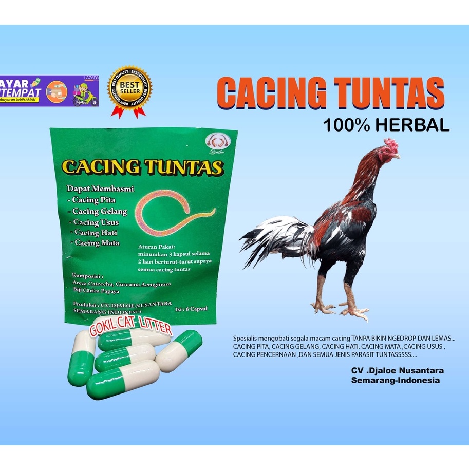 OBAT CACING AYAM-DJALOE CACING TUNTAS ,OBAT CACING AYAM ,(OBAT AYAM,VITAMIN AYAM,DOPING AYAM,JAMU AYAM)