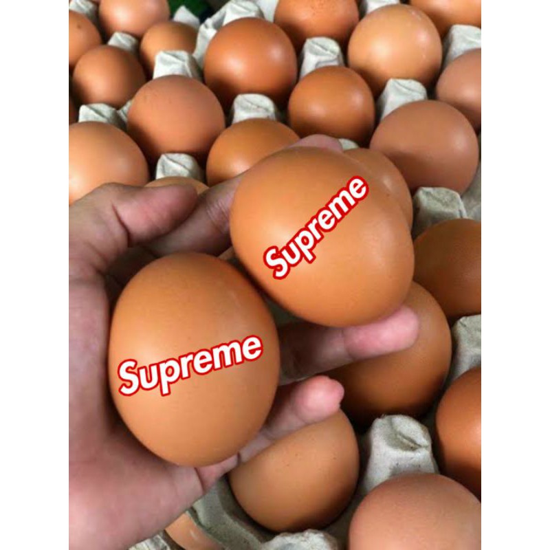 

Telur Supreme Hypebeast