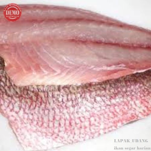 Ikan Kakap Merah Segar Ikan Fillet Kakap Merah