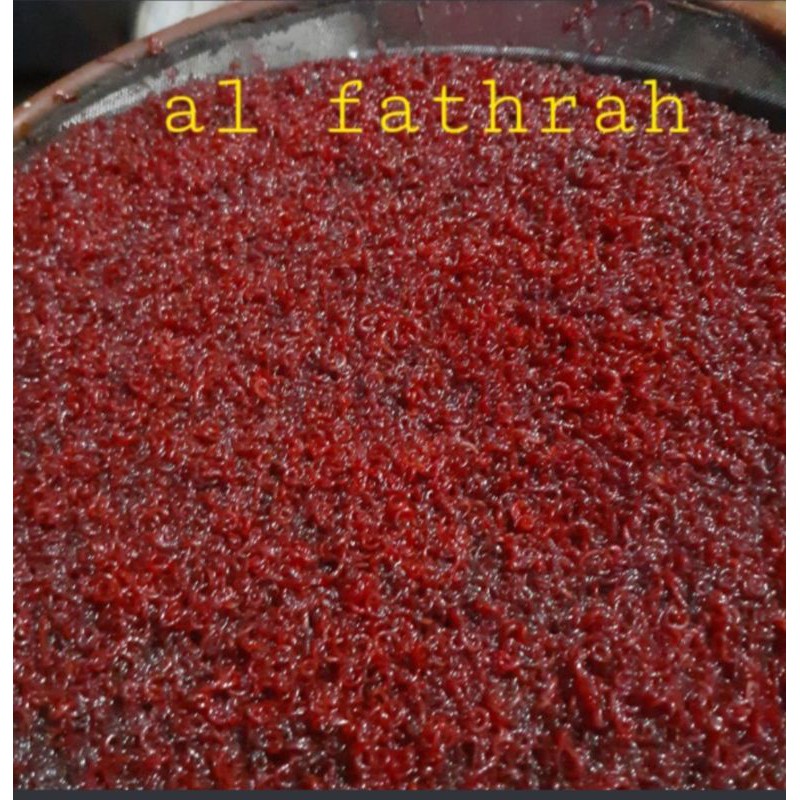 1kg Cacing Darah Beku lempeng 500gr (2lempeng), Padat Cacing, Minim Kadar Air, #Larissangatamin