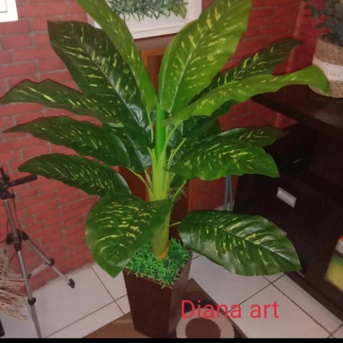 tanaman latex sri rejeki jumbo/tanaman hias plastik/bunga artificial