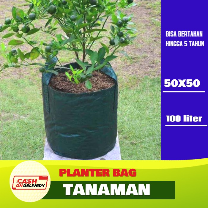 Planter Plater Bag Wall Planter Bag Pot Bunga Tanaman Volume Ukuran Besar 50x50 100 Liter