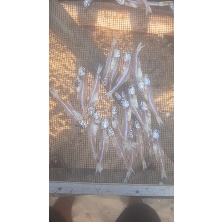 

ikan kering grosok tawar.