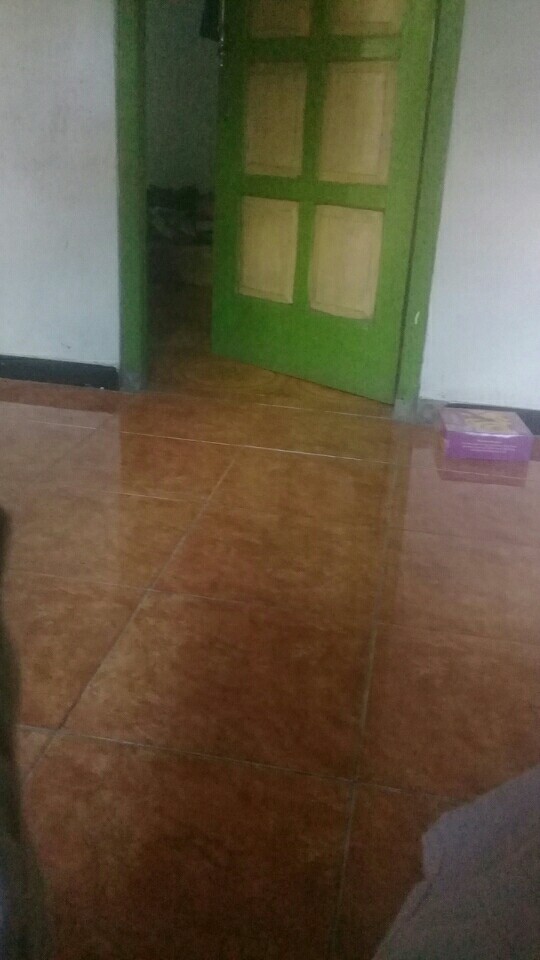 Benih Tanaman Oyong Gambas Biji Buah Bibit Sayur Sayuran Seed Refill