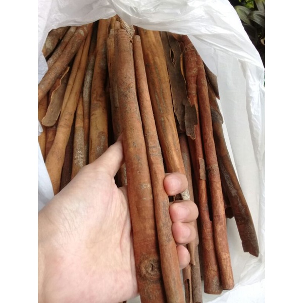 

KAYU MANIS (Cinnamon) 50GR-200GR