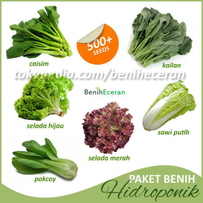 Paket Benih Sayuran Hidroponik