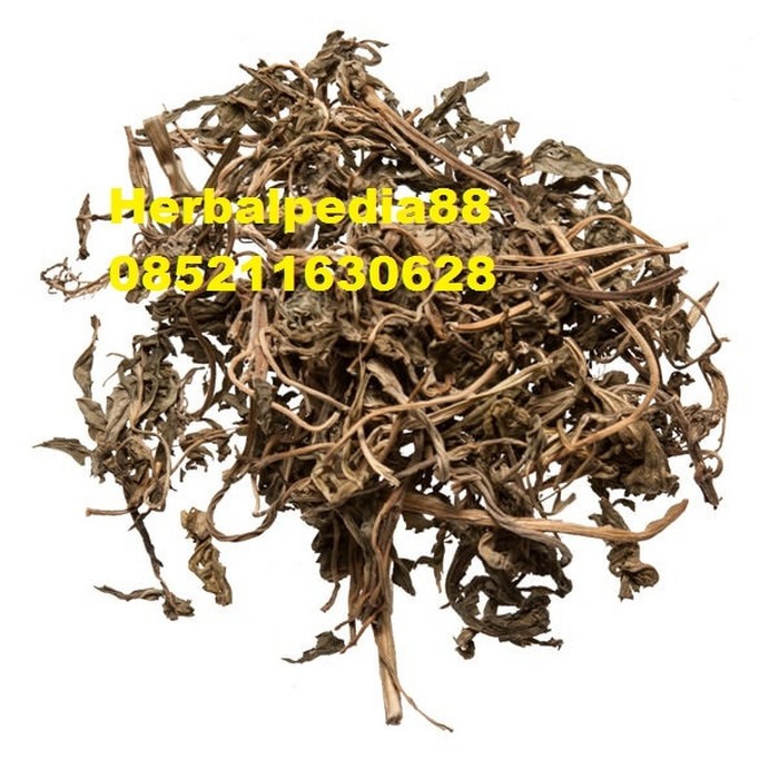 

Yi Mu Cao Motherwort Grass 100 gram