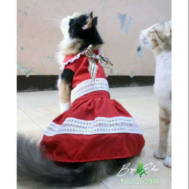 Dress kucing dan anjing edisi natal 2019 lucu murah meriah motif merah putih / baju kucing size S-XL