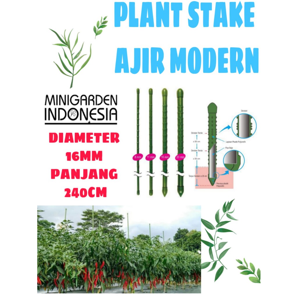 PLANT STAKE AJIR MODERN 240 CM KUALITAS JEPANG penyangga tanaman merambat 1,6 X240 CM turus rambat