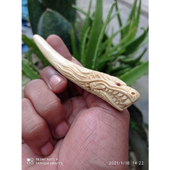 PIPA ONCE AKAR BAHAR PUTIH UKIR NAGA