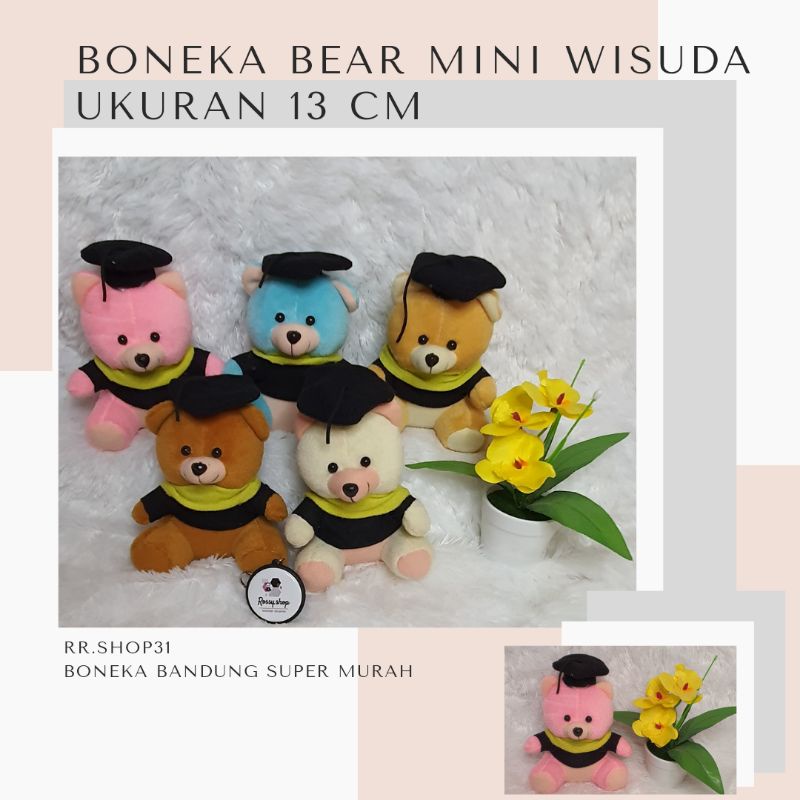boneka bear wisuda mini/boneka wisuda/boneka bear wisuda ukuran 13 cm