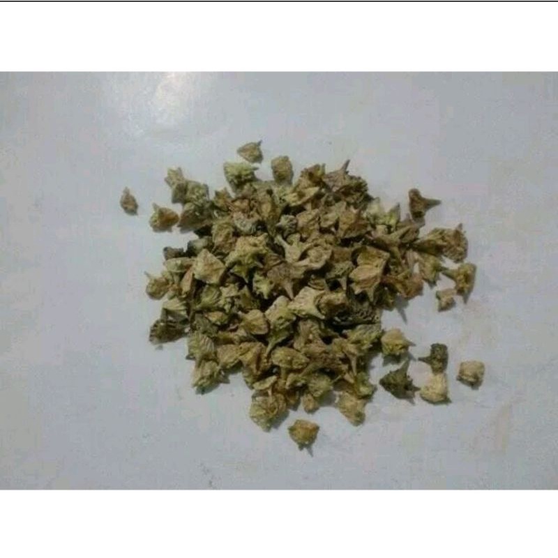 

600 G GR GRAM 白蒺藜 BAI CI JI LI PUNCTUREVINE CALTROP FRUIT FRUCTUS TRIBULI TERRESTRIS STAMINA PRIA