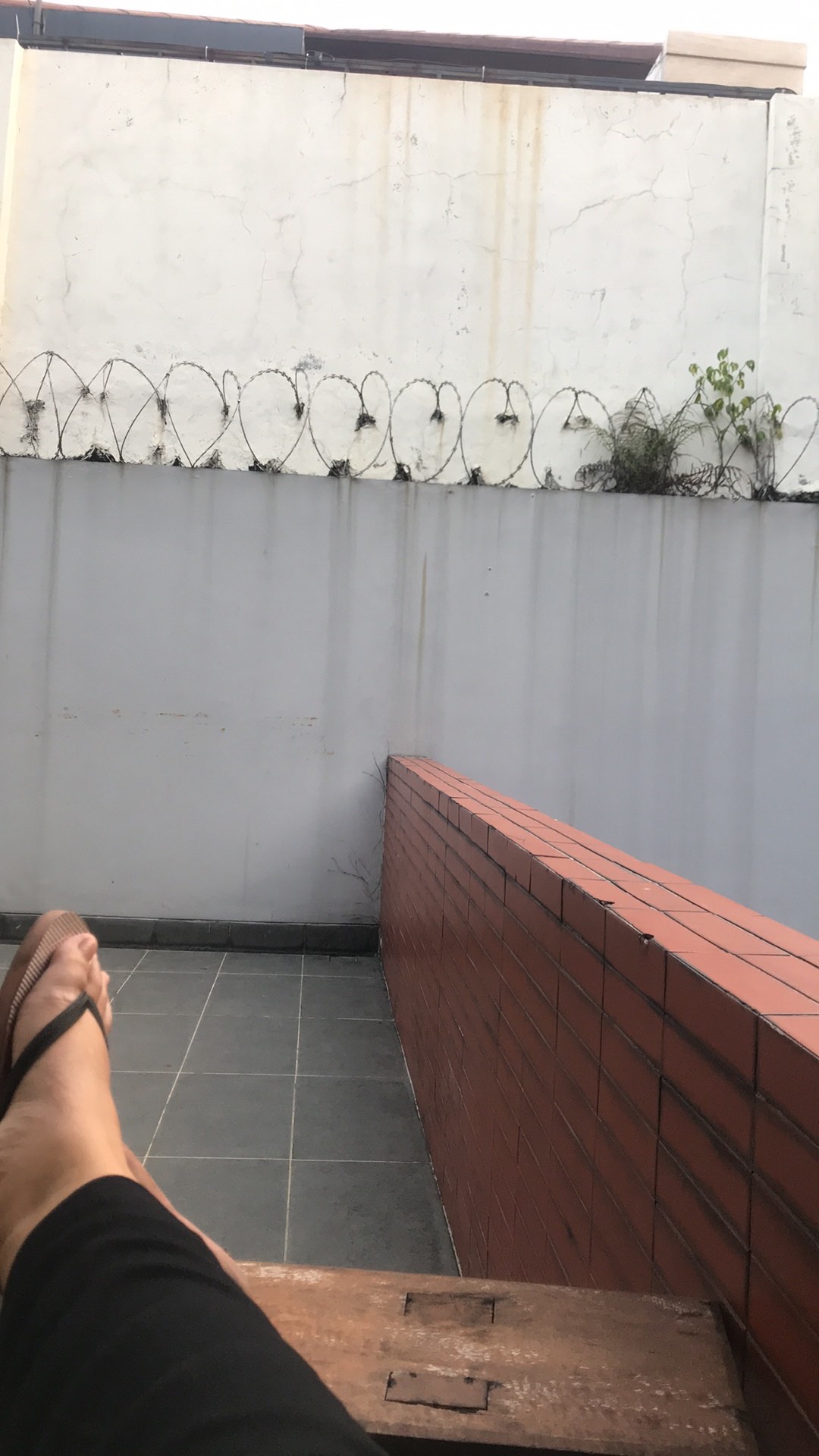 Saos Container Plastik 35ml / Cup Sambal / Tempat Sambal Suapi