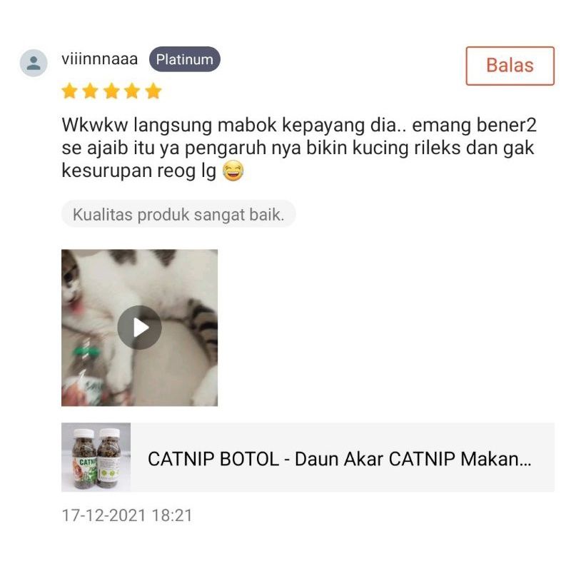 CATNIP BOTOL - Daun Akar CATNIP Makanan Kucing Catmint Obat Birahi Kucing Obat Stress Kucing