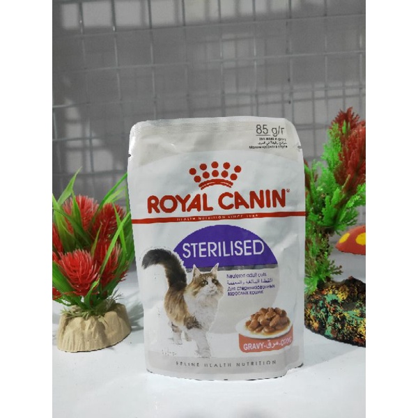 Royal Canin Pouch Sterilised Gravy 85gram