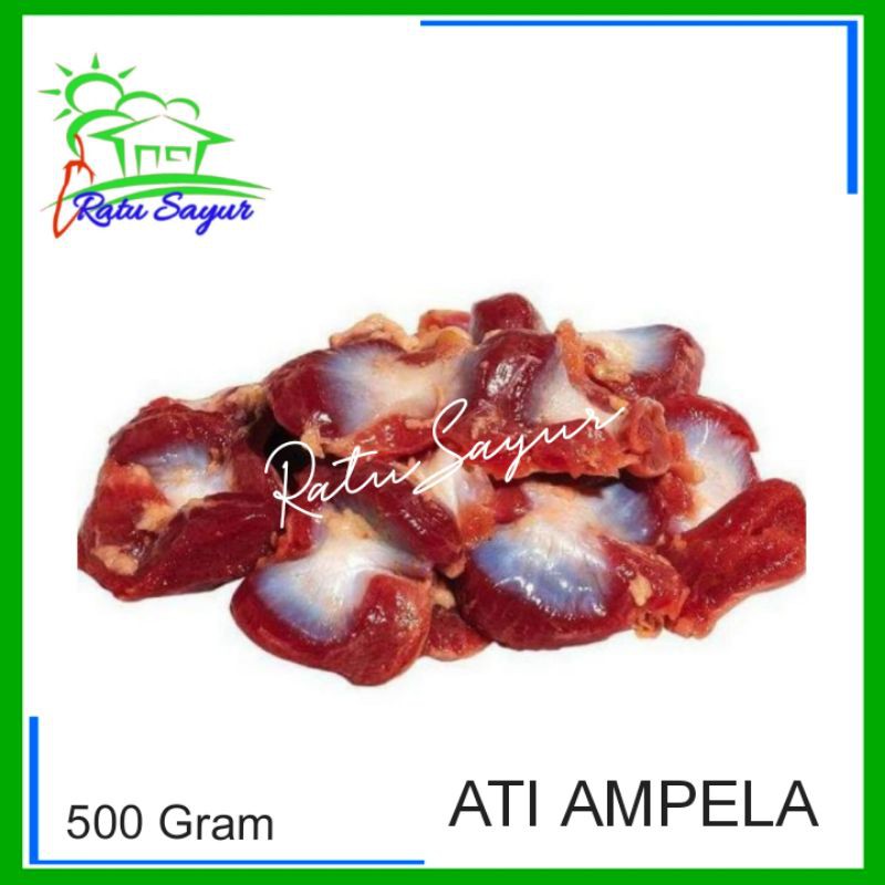 

ATI AMPELA/Ratu Sayur .id/Cikeas