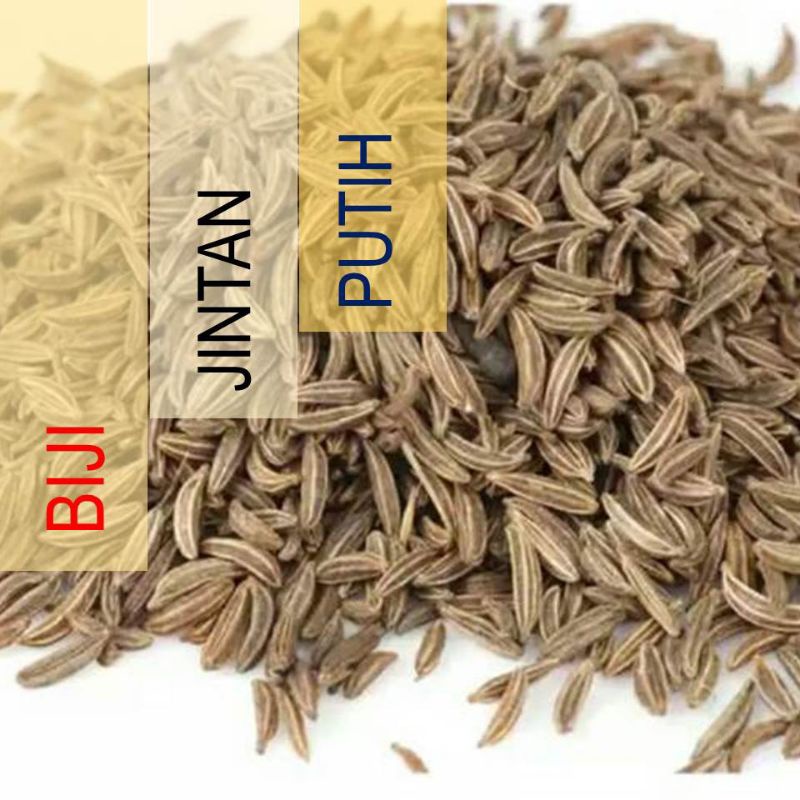 Jintan Putih / Jinten India / Cumin Seed (1.000 gram)