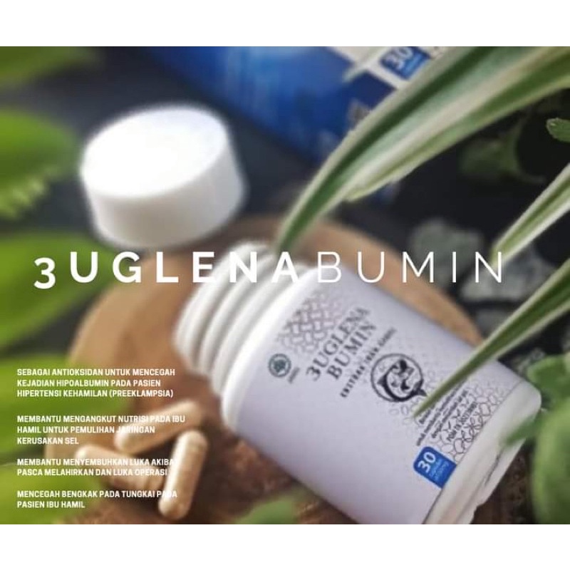 3uglena Bumin/Euglena Bumin/Albumin/Ekstrak ikan gabus