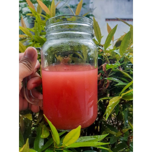 Gelas Kaca / Mug Kaca DRINK JAR HARVEST mug cafe TUTUP PLASTIK 600ml Ukiran dan polos