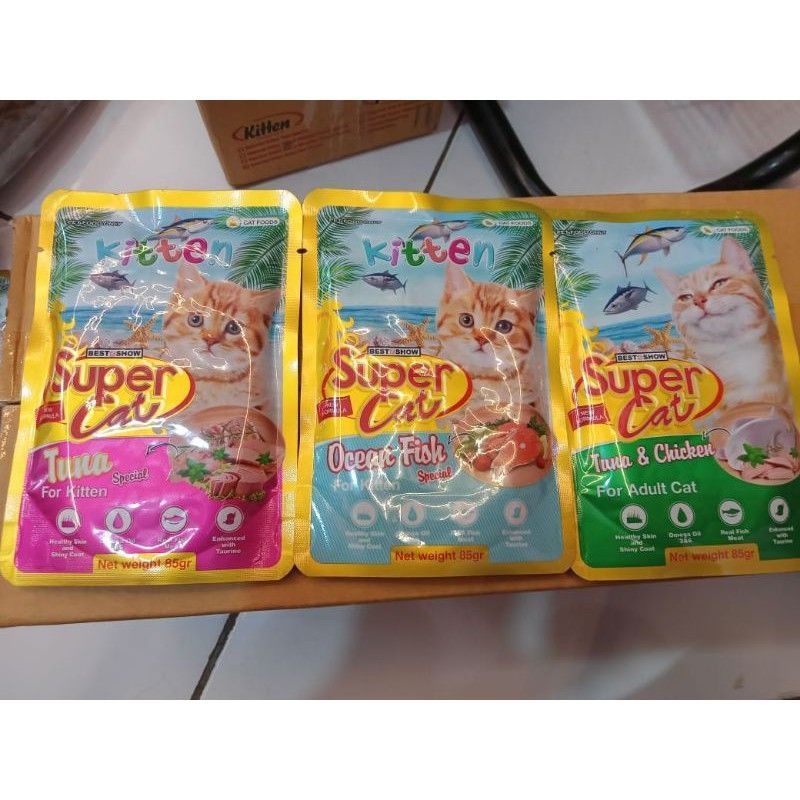 super cat kitten & adult