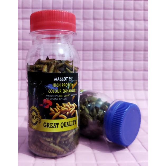 magot kering-jangkrik kering-ulat hongkong kerin repak botol-pakan ikan channa/burung/reptile