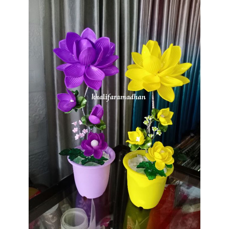 BUNGA TERATAI BESAR/POT