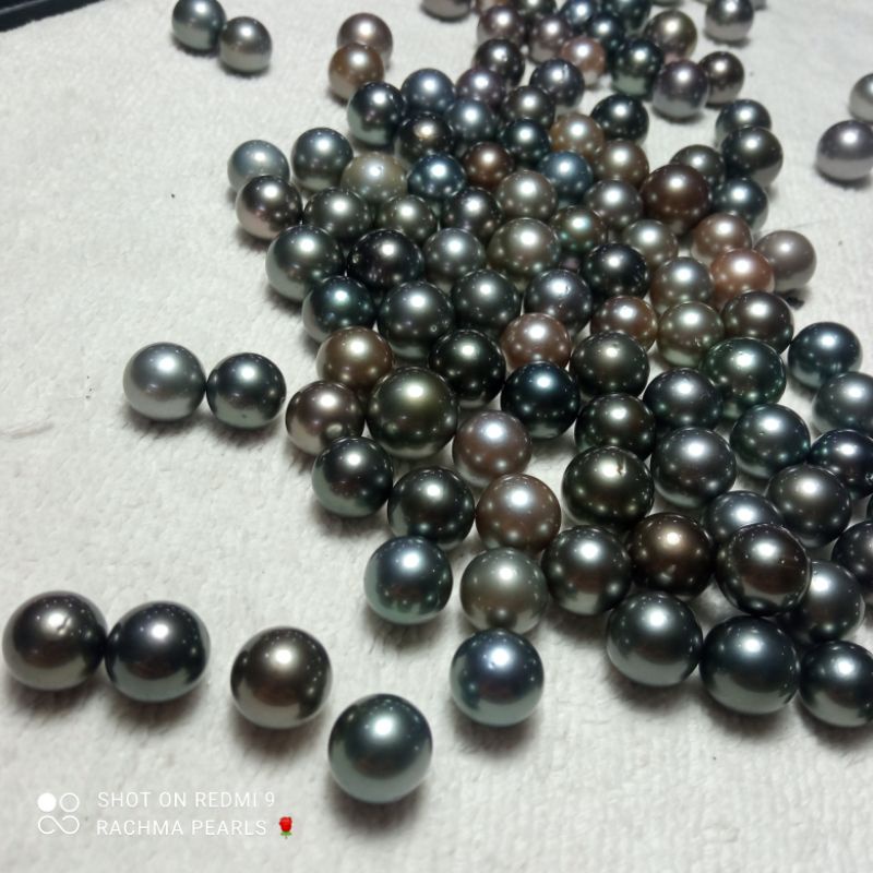 Loose pearl black tahiti mutiara air laut hitam grade A asli lombok bersertifikat setelan perhiasan cincin anting