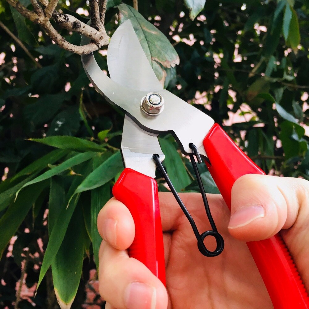 Gunting Dahan Bengkok Ranting Taman Tanaman Kebun Kayu Garden Tools