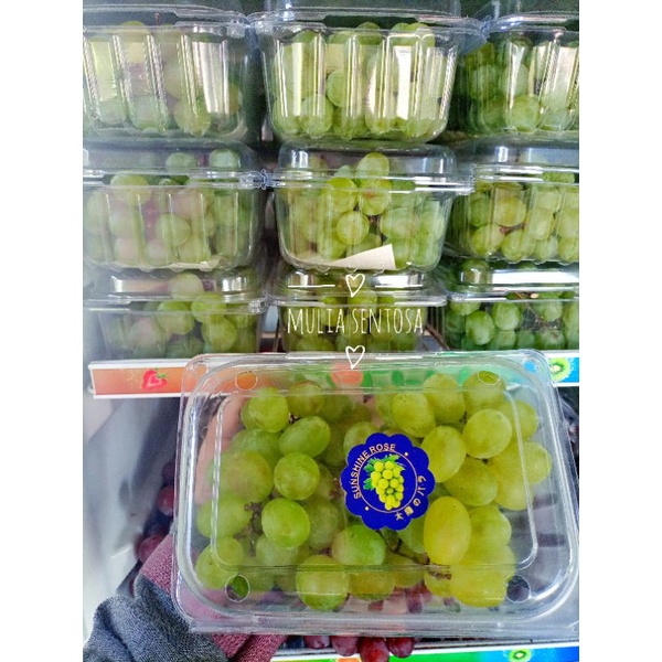 

Anggur hijau Sunshine Rose fresh / Anggur muscat hijau manis fresh