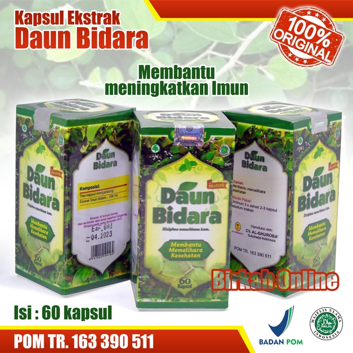 Kapsul Ekstrak Daun Bidara Arab asli 60 kapsul