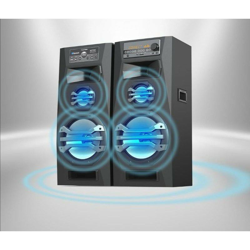 POLYTRON Active Speaker PAS 2A15