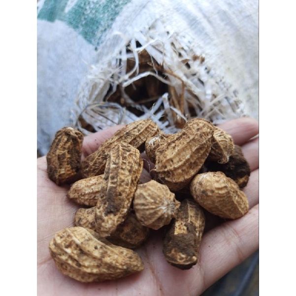 

KACANG TANAH FRESH 1kg